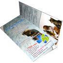 prod_img/normal/2010-4-15-23-49-03_file_56.png
